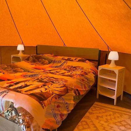 't Zwaluwnest Bed & Breakfast